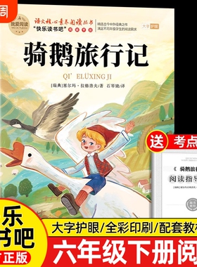 骑鹅旅行记原著正版六年级下册必读的课外书快乐读书吧鲁滨逊漂流记爱丽丝漫游奇境6阅读书籍汤姆索亚历险记宾孙书目版本名著过程