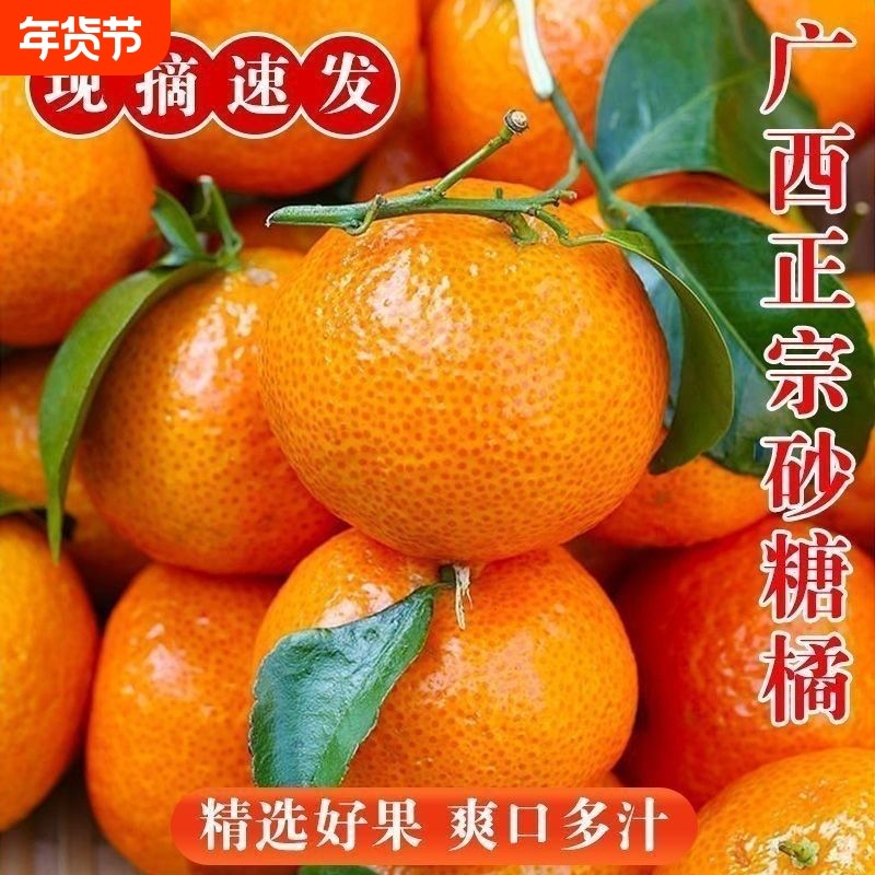 正宗广西砂糖橘新鲜水果当季现摘蜜桔金秋沙糖桔橘子贡柑整箱包邮,水产肉类/新鲜蔬果/熟食,桔子,淘宝优惠券,粉丝福利购,淘宝优惠卷