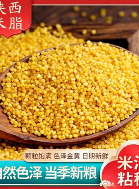 陕北米脂油小米吸嘴袋装包装新米米油醇厚易食用易真空小包装