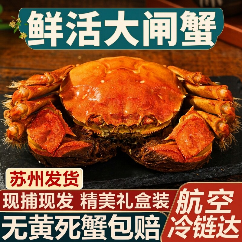 活蟹鲜活大闸蟹公母螃蟹现货海鲜水产生鲜礼盒装带绳苏州发货新鲜