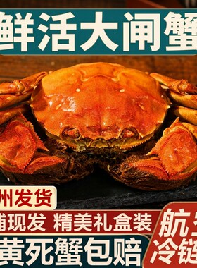活蟹鲜活大闸蟹公母螃蟹现货海鲜水产生鲜礼盒装带绳苏州发货新鲜