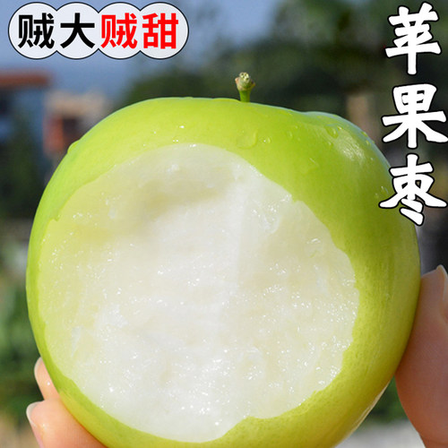 苹果枣脆甜多汁当季新鲜水果大青枣脆枣枣子3斤起现摘整箱