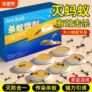 蚂蚁药家用室内强效全窝非无毒除杀白蚁灭蚁饵剂专用呋虫胺杀虫剂