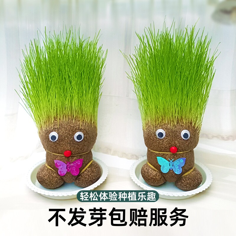 创意长草娃娃小盆栽草头娃娃好养桌面绿植礼物水培儿童种植小植物 - 实物图
