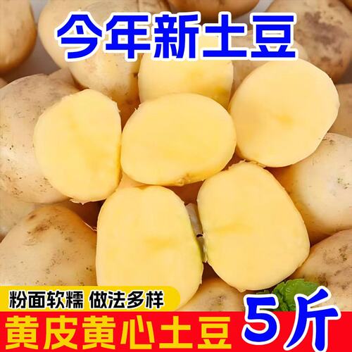 恩施富硒小土豆现挖新鲜
