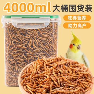 鹦鹉鸟食面包虫干虎皮玄凤鹦鹉饲料面包虫干鸟粮牡丹画眉八哥专用