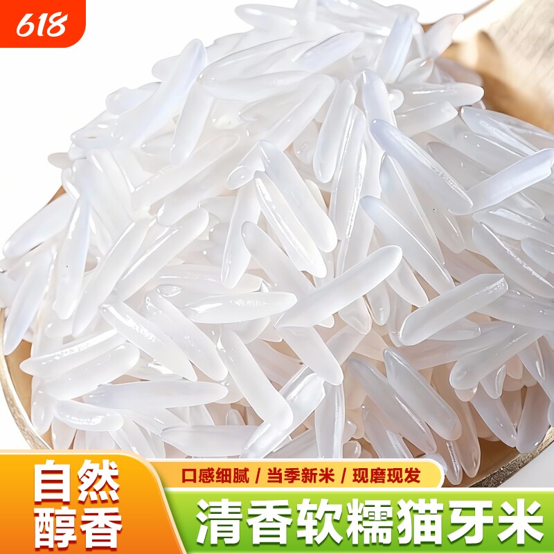 正宗猫牙米大米10KG长粒香米新米香米250g500g煲仔饭现磨试吃当季