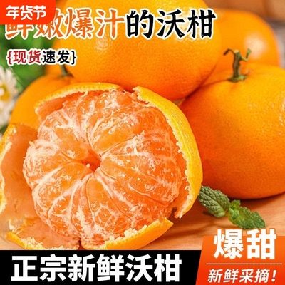 正宗广西武鸣区沃柑新鲜采摘应当季水果整箱包邮甜蜜多汁桔子橘子