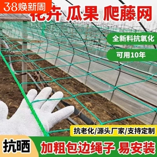 植物爬藤网攀爬瓜果百香果丝瓜吊瓜搭架葡萄黄瓜豆角种植苦瓜月季