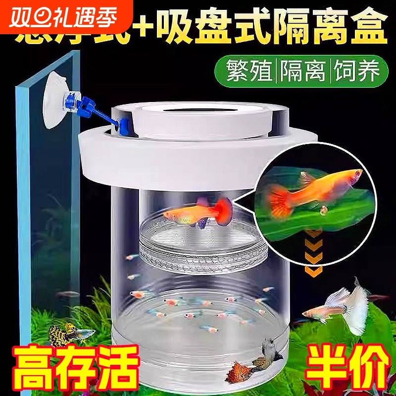 鱼缸凤尾孔雀鱼悬浮式隔离盒小鱼幼鱼苗繁殖母鱼产房漂浮孵化罐网
