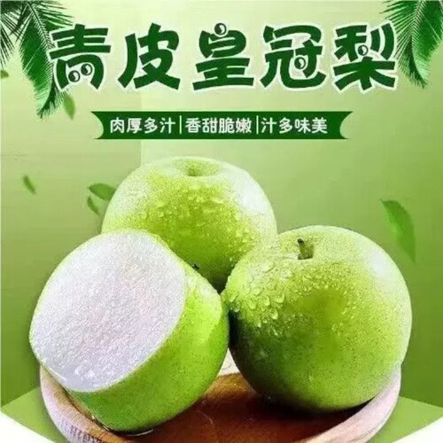 青冠梨青皮脆梨现摘新鲜汤山梨子脆甜皇冠梨蜜梨包邮水果青梨