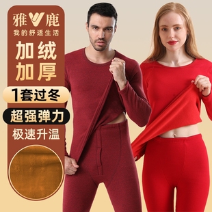红色冬季 套装 中青年防寒秋衣秋裤 雅鹿女士保暖内衣加绒加厚女款