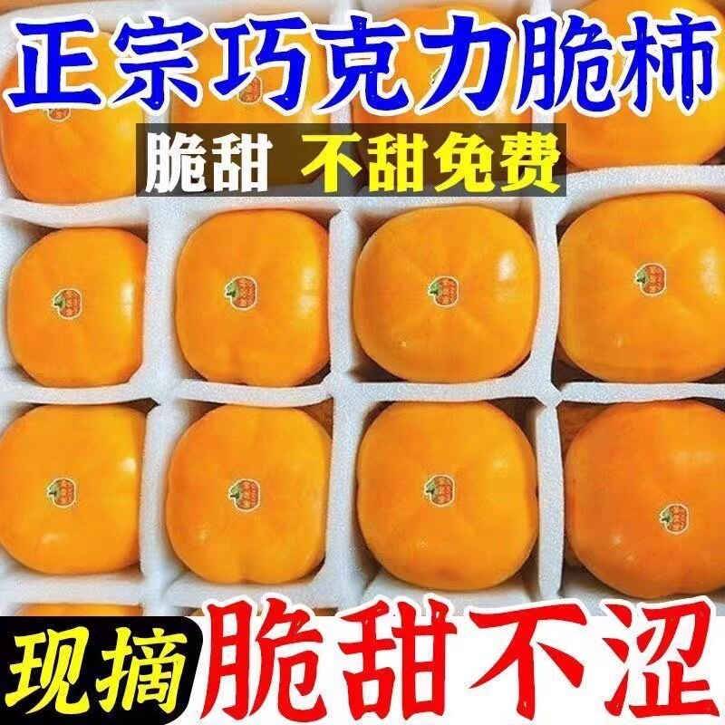 山西阳丰巧克力脆柿子当季新鲜水果整箱时令甜硬柿子包邮大果正宗
