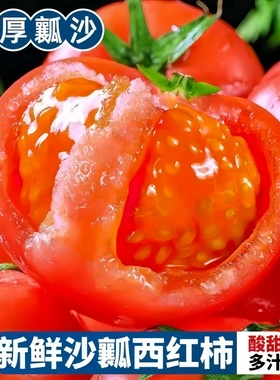 云南西红柿露天自然熟现摘新鲜沙瓤生吃水果番茄农家自种当季蔬菜