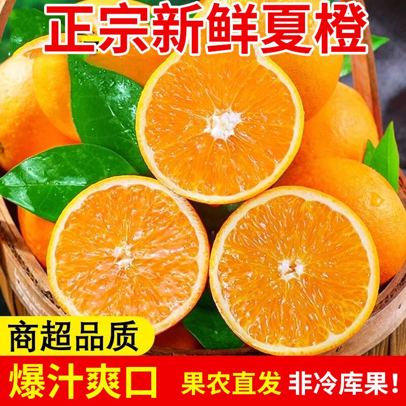 秭归夏橙脐橙子湖北手剥橙果冻甜橙整箱橙子水果新鲜优选现摘图片