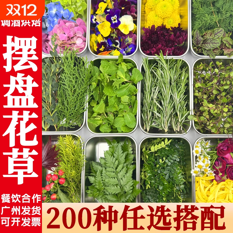 新鲜西餐酒店蛋糕烘焙咖啡鸡尾酒日料刺身摆盘装饰花草清香木叶子