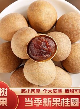 26mm以上 桂圆干 特级大果 2025年新货龙眼干特产零食气血泡茶