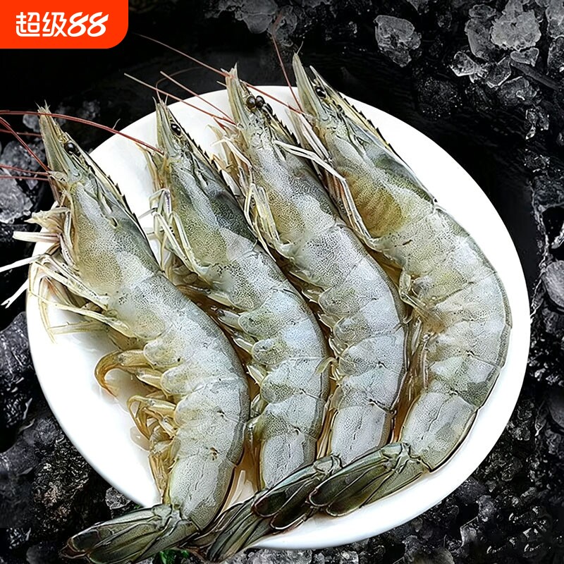海捕白虾鲜活速冻盐冻大虾 单冻白对虾冷冻海虾生鲜水产海鲜食材