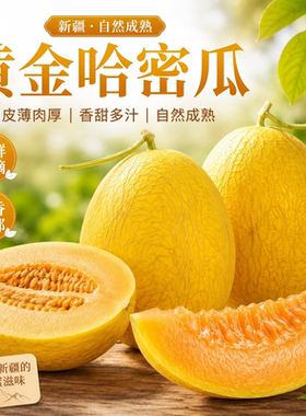 甜爆了新疆哈密瓜黄金哈密瓜当季