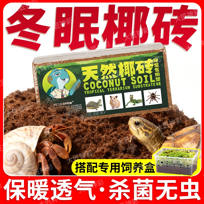 椰砖乌龟冬眠专用椰土箱陆龟蜥蜴爬宠饲养盒沙子苔藓过冬装备蜘蛛