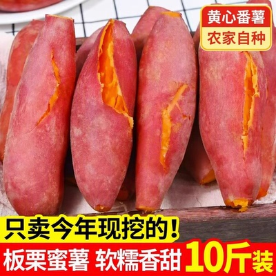 新鲜蜜薯沙地糖心红薯5斤中果