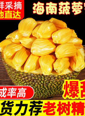 海南黄肉菠萝蜜新鲜采摘整个