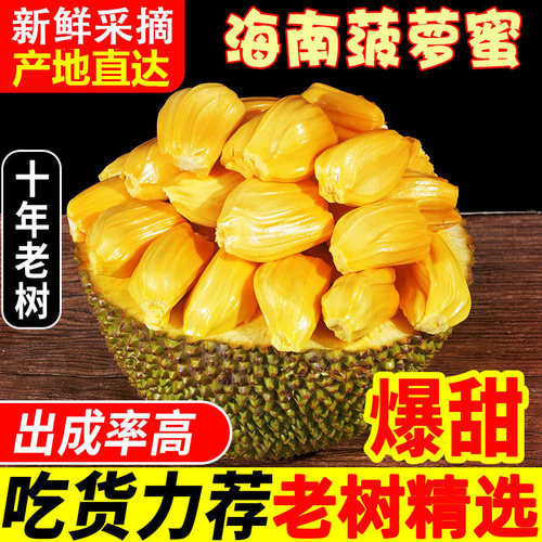 海南黄肉菠萝蜜新鲜采摘整个