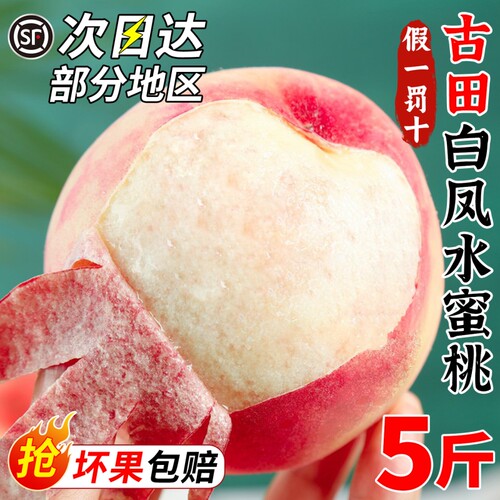 顺丰包邮古田白凤水蜜桃桃子新鲜应当季水果现摘大果毛桃脆桃整箱