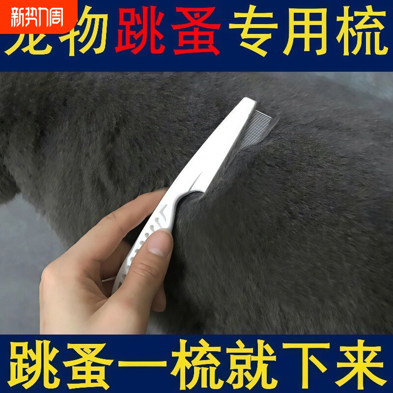 猫咪除蚤梳子狗狗除跳蚤虱子密齿梳去浮毛梳猫掉毛清理器宠物用品