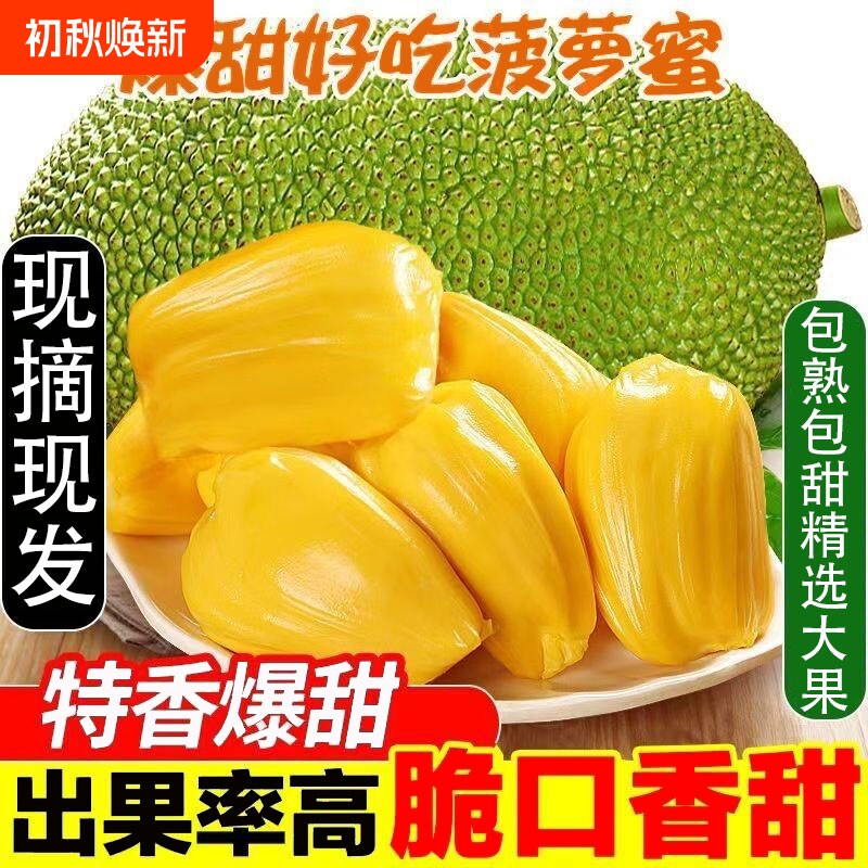 当季海南黄肉菠萝蜜新鲜现摘一整个干苞木菠萝特产热带水果假榴莲