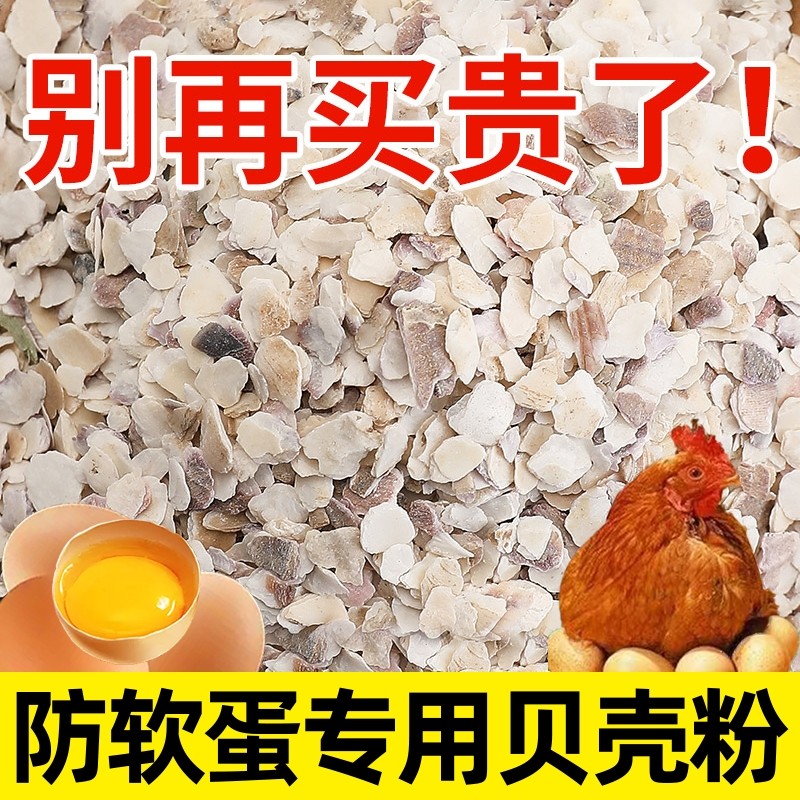 贝壳粉鸡用饲料鸡鸭鹅鸽子补钙防啄蛋防产蛋喂鸡牡蛎粉保健砂高钙
