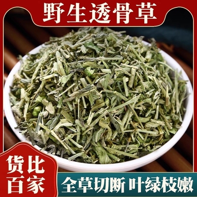 精选野生透骨草中药材正品旗舰店新鲜珍珠透骨草粉泡脚泡澡伸筋草