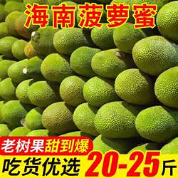 海南三亚菠萝蜜黄肉干苞新鲜热带水果包邮当季现摘爆甜批发价