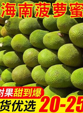 海南特产海南三亚菠萝蜜黄肉干苞新鲜热带水果包邮当季批发价优选