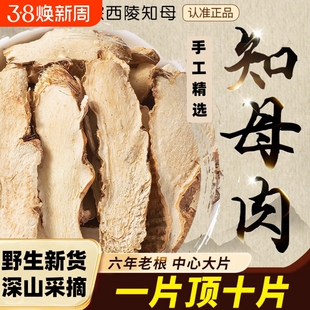 野生知母中药材正品官方旗舰店毛知母片中草药麦冬茶百合桂枝滋补