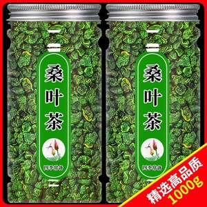 桑叶茶正品霜后新鲜桑叶