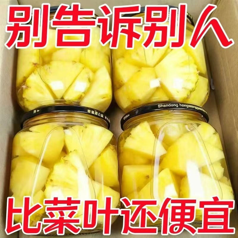 新鲜菠萝罐头现摘去皮即食凤梨菠萝冰水果罐头商用烘焙铁罐装
