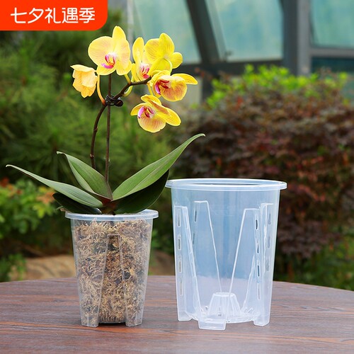 蝴蝶兰花盆专用控根|千人回购