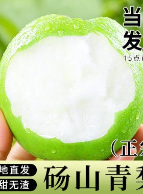 安徽砀山核心产区青梨酥梨无渣