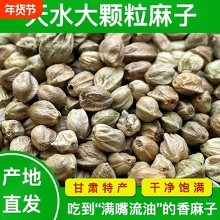 天水麻子大粒甘肃特产特大生火麻籽人吃炒熟食用大颗粒新鲜