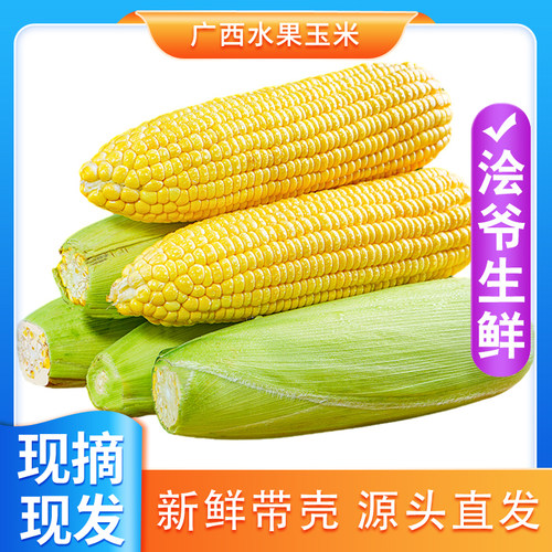 广西水果玉米2025新鲜黄金甜玉米棒子苞谷米现摘糯包邮嫩蔬菜当季