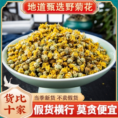 材野菊花正宗大别山野菊花米胎菊花茶野菊花茶野