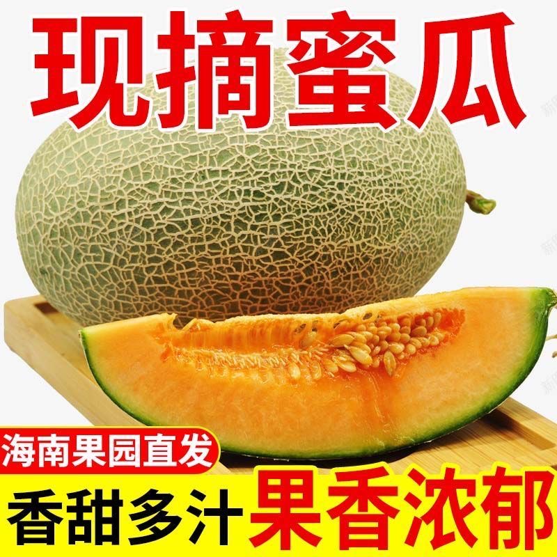正宗海南哈密瓜当季整箱包邮5-9斤新鲜水果网纹瓜香甜蜜瓜应季