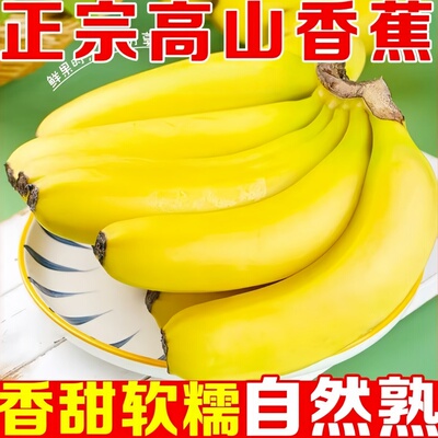 高山大香蕉当季新鲜水果青皮香蕉现摘香甜需催熟甜蕉甜香蕉香甜