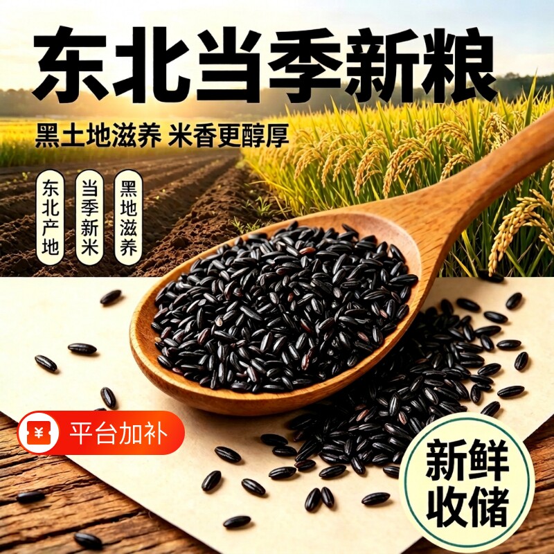 哈冠丰黑香米东北五谷杂粮黑米大米饭新米5斤软糯当季袋装好吃