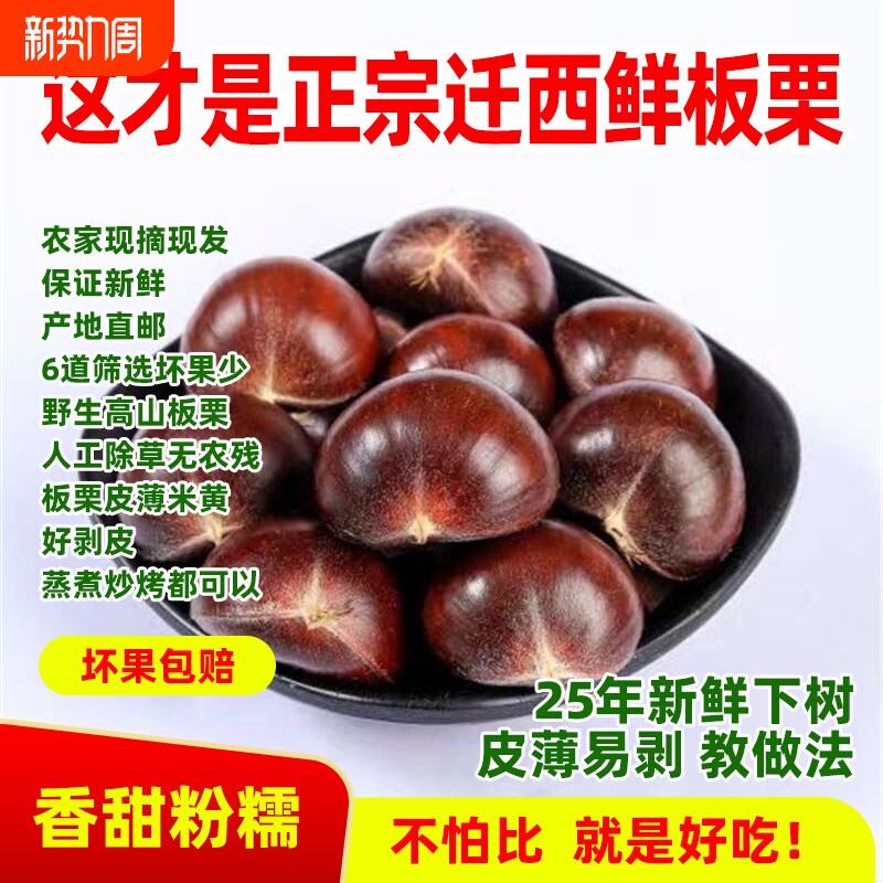 2025年现摘新货正宗迁西新鲜板栗生栗子野生河北毛栗燕山栗仁