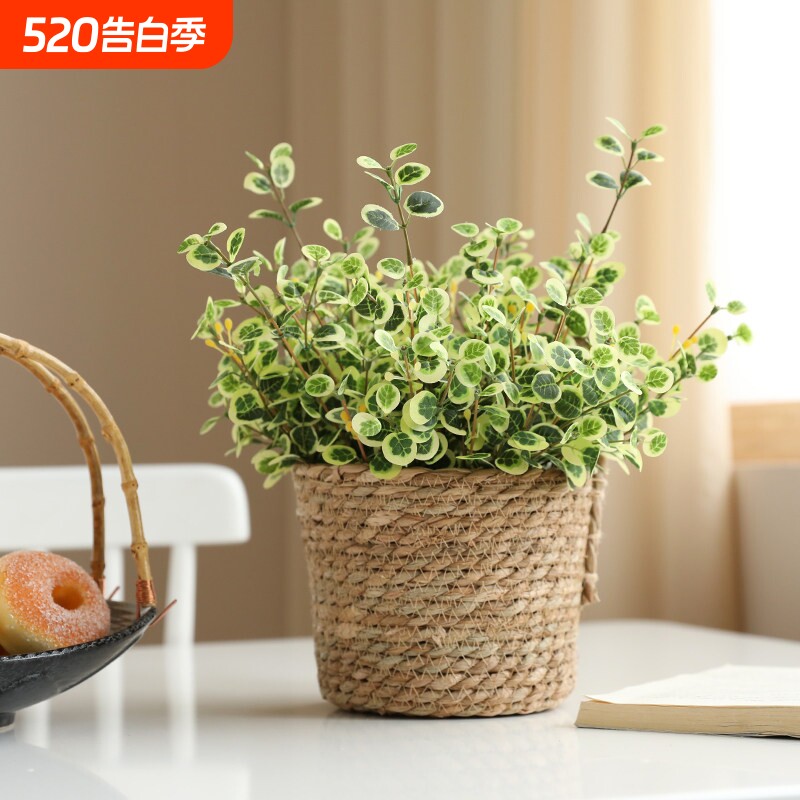 泰环 ins北欧仿真植物小花束套装家居客厅装饰绿植盆栽桌面摆件
