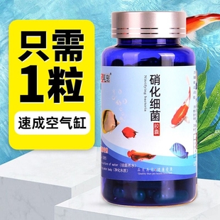 硝化细菌鱼缸净水剂养鱼用品水族鱼清澈剂水质观赏鱼硝化菌片分解