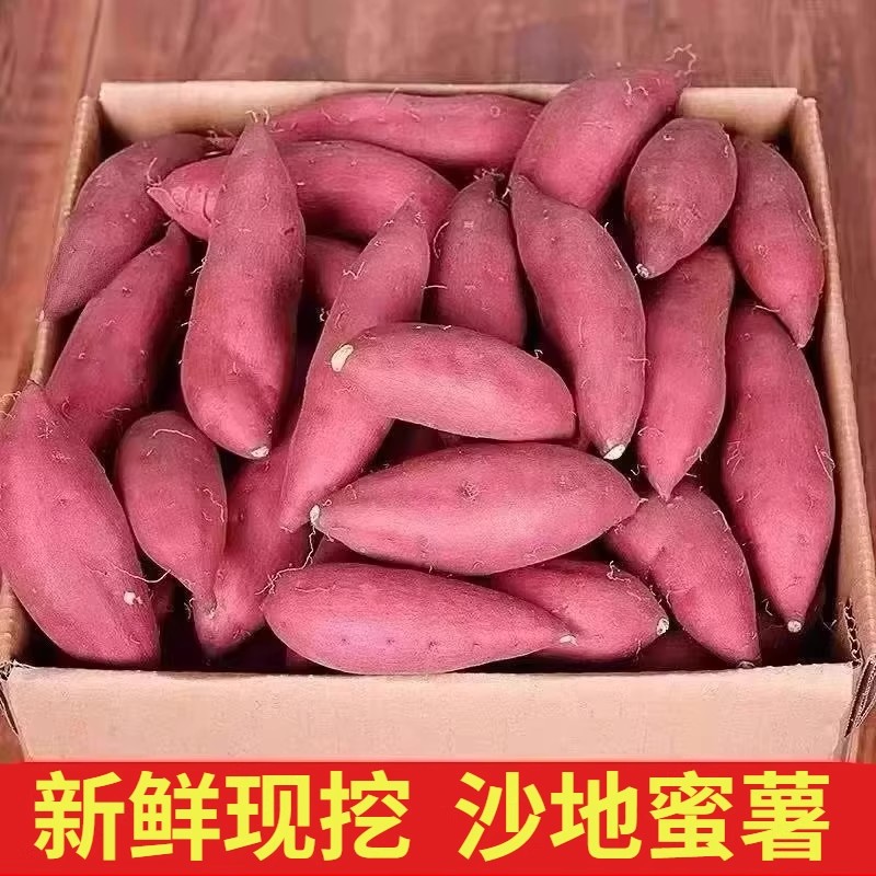 新鲜沙地蜜薯板栗红薯糖心地瓜番薯山芋农家自种现挖龙九黄心红薯