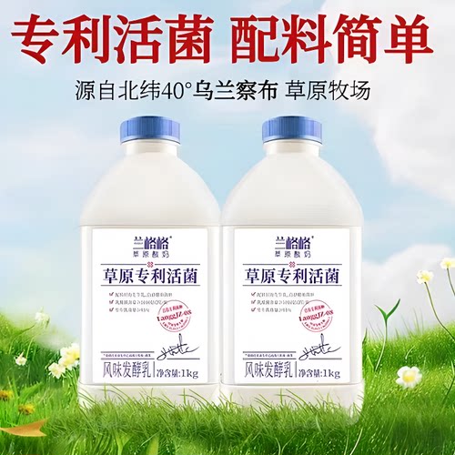 兰格格草原酸奶专利活菌原味1kg营养早餐低温发酵袋装乳酸菌风味